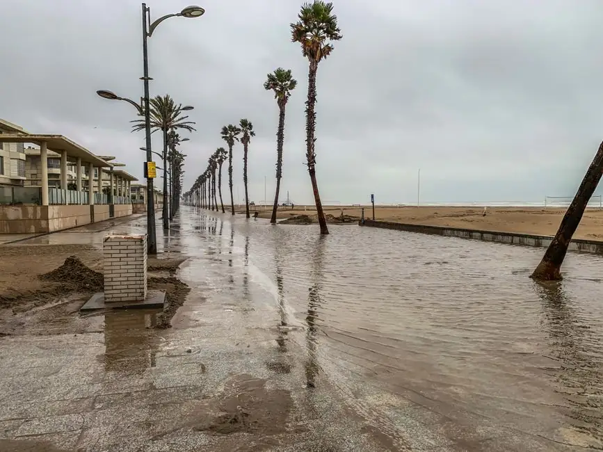 Flood Damage Cleanup