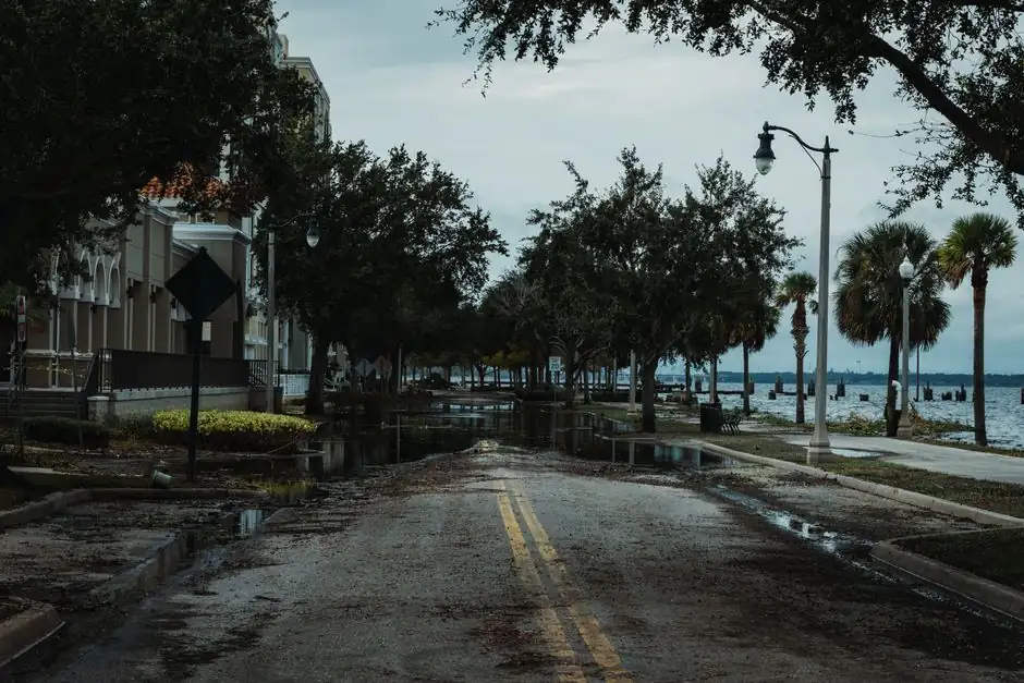 Our Water Damage Restoration Process