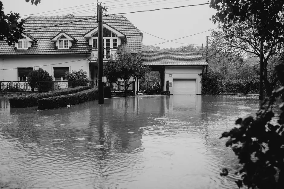 Professional Flood Damage Cleanup in joplin